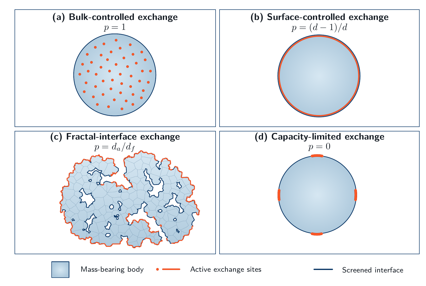 Four panels comparing bulk-controlled, surface-controlled, fractal-interface, and capacity-limited mass exchange.